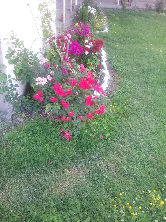 Guest House Anisa Birkiani 外观 照片